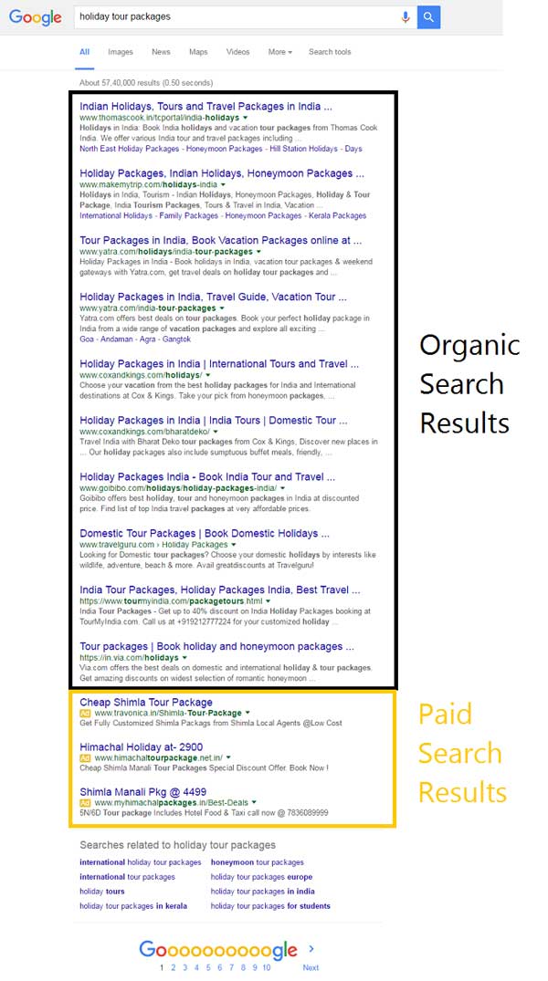 Google Search Result Example